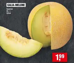 Handelshof Galia-melone Angebot