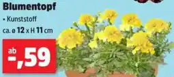Thomas Philipps Blumentopf Angebot