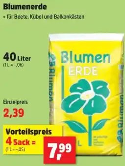 Thomas Philipps Blumenerde Angebot