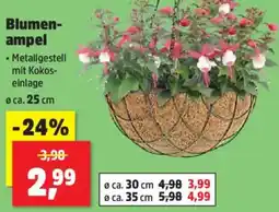 Thomas Philipps Blumenampel Angebot