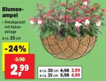 Thomas Philipps Blumenampel Angebot