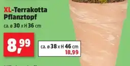 Thomas Philipps XL-Terrakotta Pflanztopf Angebot