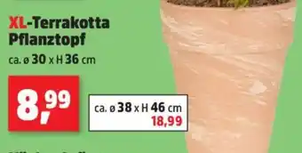 Thomas Philipps XL-Terrakotta Pflanztopf Angebot