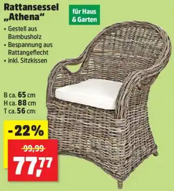 Thomas Philipps Rattansessel ,,Athena" Angebot