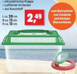 Thomas Philipps Insekten Sammelbox Angebot