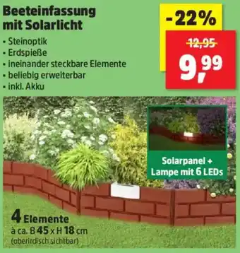 Thomas Philipps Beeteinfassung mit Solarlicht Angebot