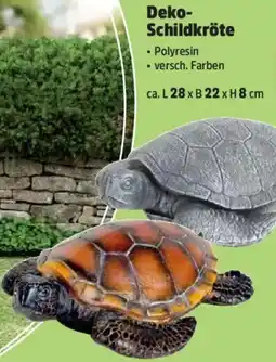 Thomas Philipps Deko Schildkröte Angebot