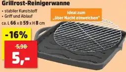 Thomas Philipps Grillrost-Reinigerwanne Angebot