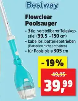 Thomas Philipps Bestway Flowclear Poolsauger Angebot