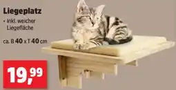 Thomas Philipps Liegeplatz Angebot
