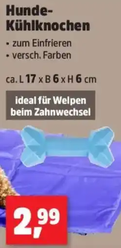 Thomas Philipps Hunde Kühlknochen Angebot