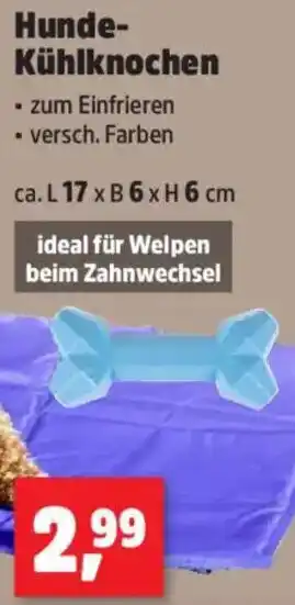 Thomas Philipps Hunde Kühlknochen Angebot