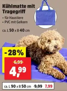 Thomas Philipps Kühlmatte mit Tragegriff Angebot