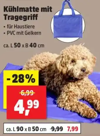 Thomas Philipps Kühlmatte mit Tragegriff Angebot