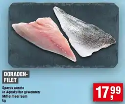 Handelshof Doradenfilet Angebot