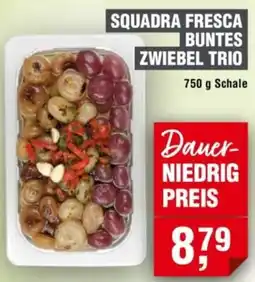 Handelshof Squadra fresca buntes zwiebel trio Angebot