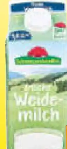 Netto Marken-Discount Schwarzwaldmilch Frische Weidemilch Angebot