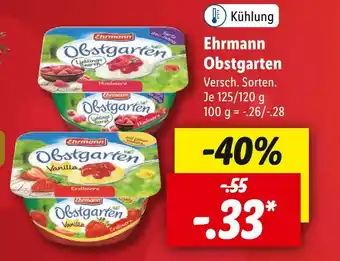 Lidl Ehrmann obstgarten Angebot