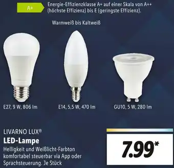 Lidl Livarno lux led-lampe Angebot