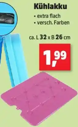 Thomas Philipps Kühlakku Angebot