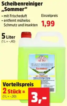Thomas Philipps TP AUTO Scheibenreiniger „Sommer" Angebot