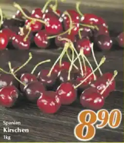 inkoop Spanien Kirschen Angebot