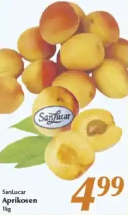 inkoop Sanlucar Aprikosen Angebot
