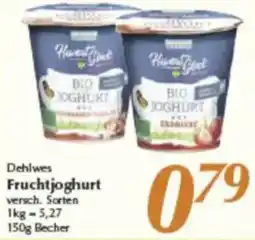 inkoop Dehlwes Fruchtjoghurt Angebot
