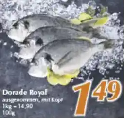 inkoop Dorade Royal Angebot