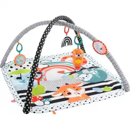 Netto Marken-Discount Fisher-Price Spielbogen/Decke Spieldecke mit Spielbogen, Licht & Musik Angebot