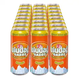 Netto Marken-Discount Uludag Gazoz Orange 0,33 Liter Dose, 24er Pack Angebot