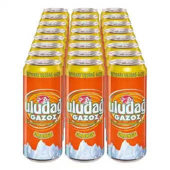 Netto Marken-Discount Uludag Gazoz Orange 0,33 Liter Dose, 24er Pack Angebot