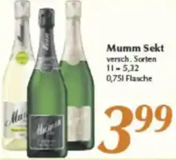 inkoop Mumm Sekt Angebot