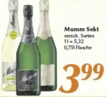 inkoop Mumm Sekt Angebot