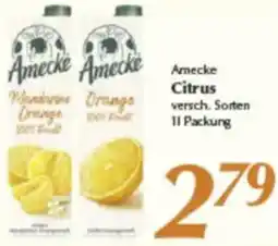 inkoop Amecke Citrus Angebot