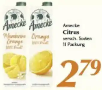 inkoop Amecke Citrus Angebot