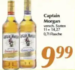inkoop Captain Morgan Angebot