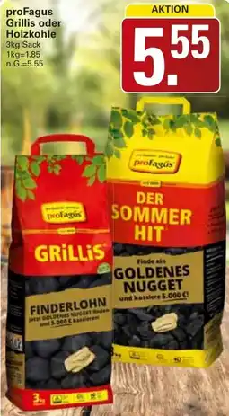 WEZ proFagus Grillis oder Holzkohle Angebot