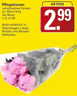 WEZ Pfingstrosen Angebot