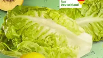 PENNY Marktliebe Romana Salatherzen Angebot