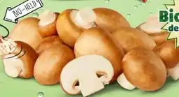 PENNY Naturgut Bio Champignons Angebot