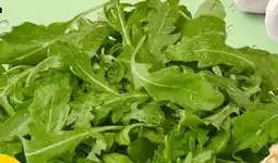PENNY Rucola Angebot