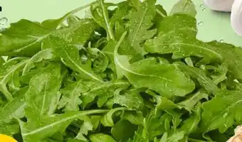 PENNY Rucola Angebot