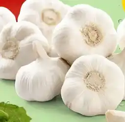 PENNY Knoblauch Angebot