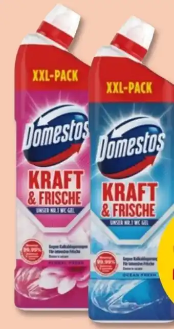 PENNY Domestos WC Gel Kraft & Frische Angebot