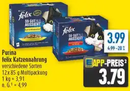 diska Purina felix Katzennahrung Angebot