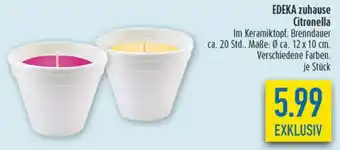 diska EDEKA zuhause Citronella Angebot