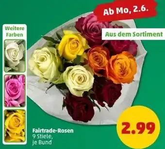 PENNY Fairtrade-Rosen Angebot
