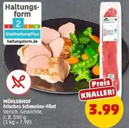 PENNY MÜHLENHOF Frisches Schweine-Filet Angebot