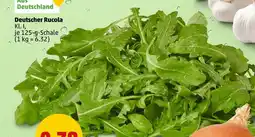PENNY Deutscher rucola Angebot